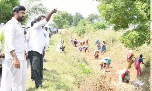 கம்மாபுரம் ஒன்றிய பகுதியில் ஊரக வளர்ச்சி திட்ட பணிகளை கலெக்டர் ஆய்வு