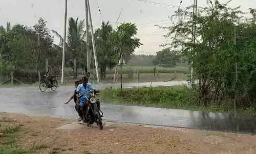 தரகம்பட்டி பகுதியில் திடீர் மழை