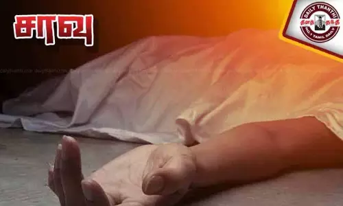 செஞ்சி அருகே பாலத்தில் இருந்து தவறி விழுந்த வாலிபர் சாவு