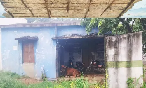 மாட்டுத்தொழுவமாக மாறிய ரேஷன் கடை