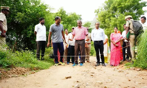 8 கிலோ மீட்டர் தூரம் நடந்து சென்றுஆய்வு செய்த கலெக்டர்