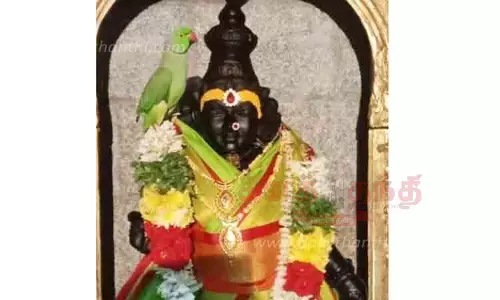 மதுரை கடச்சனேந்தல் அருகே  மீனாட்சி அம்மன் சிலையில் அமர்ந்த கிளி- பக்தர்கள் பரவசம்