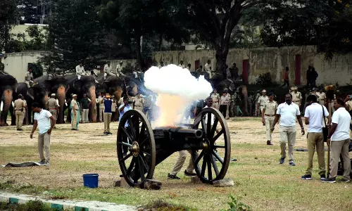 தசரா யானைகளுக்கு பீரங்கி வெடி சத்த பயிற்சி தசரா யானைகளுக்கு பீரங்கி வெடி சத்த பயிற்சி