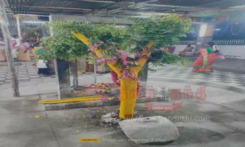 பெருந்துறை கோட்டை மாரியம்மன் கோவிலில் கம்பத்துக்கு புனிதநீர் ஊற்றி பெண்கள் வழிபாடு