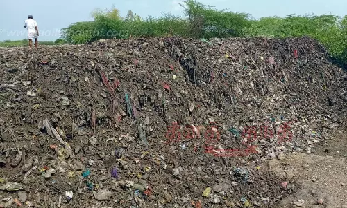 சிவகாசி யூனியன் பகுதியில் நீர் நிலைகளில் குப்பை கழிவுகள் கொட்டப்படும் நிலை