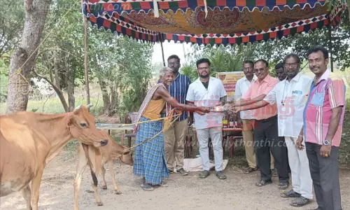 இலவச கால்நடை மருத்துவ முகாம் இலவச கால்நடை மருத்துவ முகாம்
