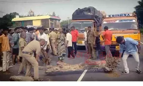 சாலையின் குறுக்கே மரங்களை போட்டு பொதுமக்கள் சாலை மறியல்