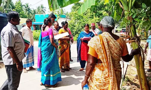 மாவட்ட வருவாய் அலுவலர் ஆய்வு