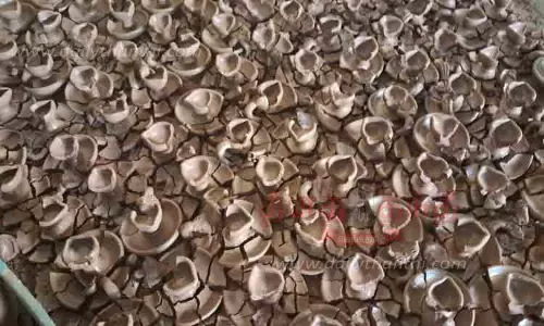 மண்பாண்ட கூடத்தில் புகுந்த தண்ணீர்