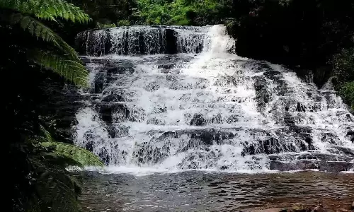 கொடைக்கானல் அருவிகளுக்கு நீர்வரத்து அதிகரிப்பு