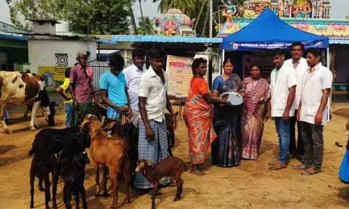 கால்நடை விழிப்புணர்வு முகாம்