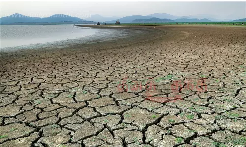 அகண்ட காவிரி வறண்டு போனதால்பாளம், பாளமாய் வெடித்த மேட்டூர் அணை நீர்த்தேக்கம்புராதன சின்னங்கள் முழுமையாக தெரிகின்றன