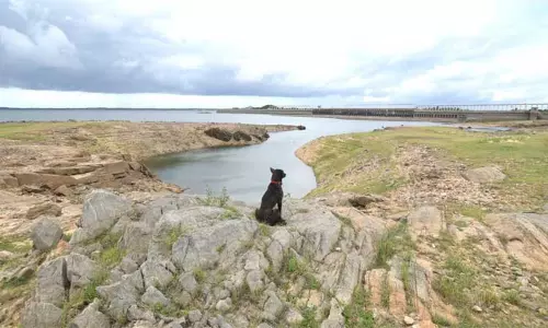 தமிழகத்திற்கு வினாடிக்கு 4,698 கன அடி நீர் செல்கிறது தமிழகத்திற்கு வினாடிக்கு 4,698 கன அடி நீர் செல்கிறது