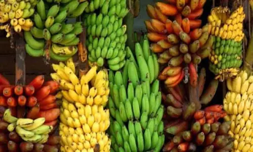 அந்தியூரில் ரூ.5¼ லட்சத்துக்கு வாழைத்தார் விற்பனை