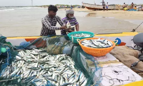 விசைப்படகு மீனவர்கள் வேலைநிறுத்தத்தால்தூத்துக்குடியில் மீன்கள் விலை உயர்வு