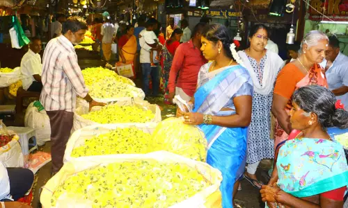 சாமந்தி, ரோஜா விலை அதிகரிப்பு