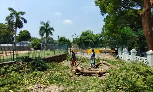 கண்காணிப்பு கேமராக்கள் பராமரிப்பு பணி நடந்தது