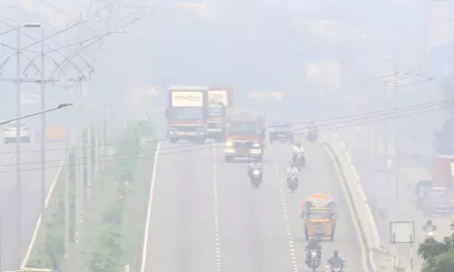 வேலூரில் பனிப்பொழிவு