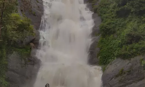 கொடைக்கானலில் வெளுத்து வாங்கிய மழை; அருவிகளில் வெள்ளப்பெருக்கு