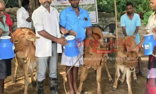 கால்நடை மருத்துவ முகாமில் 450 கால்நடைகளுக்கு தடுப்பூசி