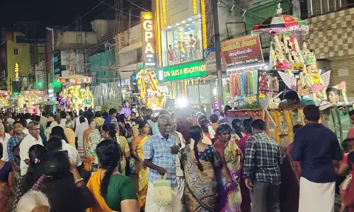 விருத்தாசலத்தில் பன்னிரு கருட சேவை ஊர்வலம் விருத்தாசலத்தில் பன்னிரு கருட சேவை ஊர்வலம்