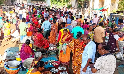 ஒரே நாளில் 40 டன் வரத்து: கடலூர் துறைமுகத்தில் மீன் வாங்க வியாபாரிகள், பொதுமக்கள் குவிந்தனர் ஒரே நாளில் 40 டன் வரத்து: கடலூர் துறைமுகத்தில் மீன் வாங்க வியாபாரிகள், பொதுமக்கள் குவிந்தனர்