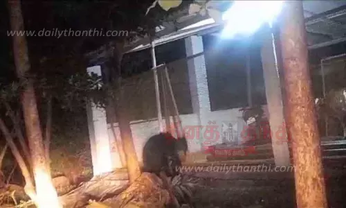 தோட்டத்தில் சுற்றித் திரிந்த கரடி; சமூக வலைதளத்தில் வீடியோ வைரல்