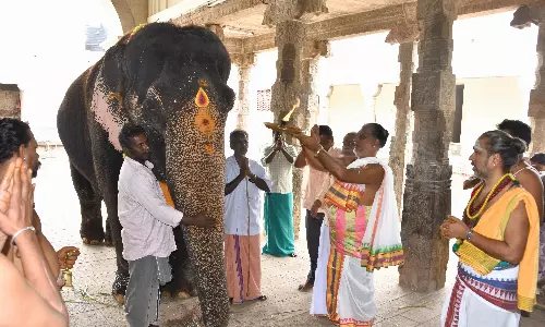 பழனி முருகன் கோவிலில் நவராத்திரி விழா; காப்புக்கட்டுதலுடன் தொடங்கியது