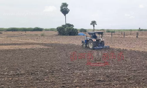 டிராக்டர் மூலம் உழவு பணி தீவிரம்