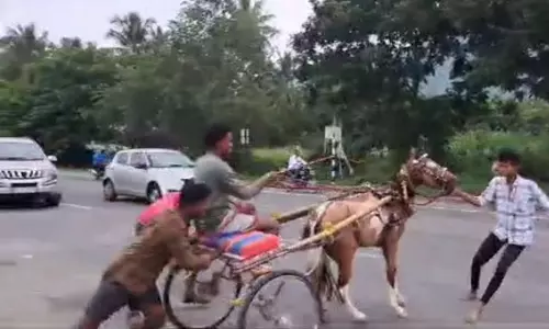 வாகன ஓட்டிகளை அச்சுறுத்தும் குதிரை வண்டி பந்தயம்