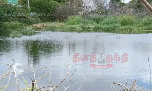 முதுகுளத்தூரில் விவசாய நிலத்தில் குளமாக தேங்கிய கழிவுநீர்