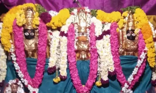 சிறுவந்தாடு அங்காளம்மன் கோவிலில் அமாவாசை விழா