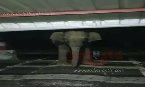 பண்ணாரி சோதனைச்சாவடிக்கு வந்த காட்டு யானைஅறையின் கதவை பூட்டி பதுங்கிய வனத்துறையினர்