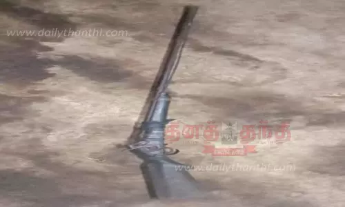 மக்காச்சோள காட்டில் நாட்டு துப்பாக்கி பதுக்கி வைப்பு