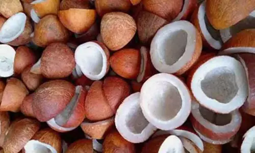 அவல்பூந்துறையில்ரூ.3½ லட்சத்துக்கு கொப்பரை தேங்காய் விற்பனை