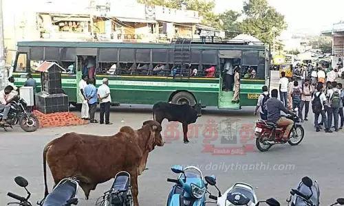 தாளவாடி பஸ்நிலையத்தில் சுற்றித்திரியும் மாடுகளால் விபத்து