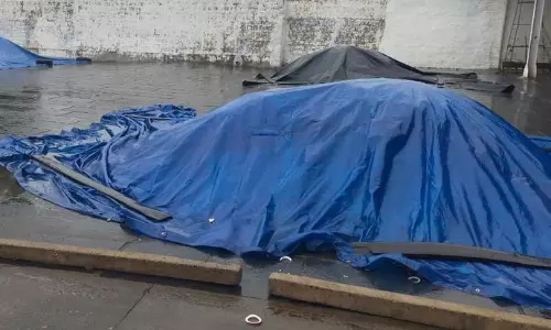 தேங்காய் உலர்களங்களில் பணிகள் பாதிப்பு