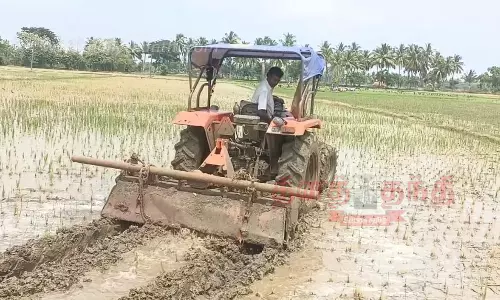 கருகிய நெற்பயிரை டிராக்டர் கொண்டு அழித்த விவசாயி