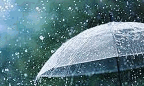 கனமழை: பள்ளி, கல்லூரிகளுக்கு விடுமுறை.