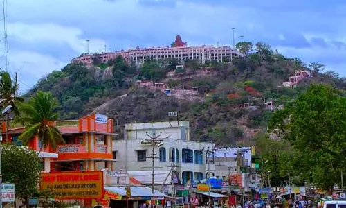 பழனி முருகன் கோவிலில் தரிசன கட்டுப்பாடு பழனி முருகன் கோவிலில் தரிசன கட்டுப்பாடு