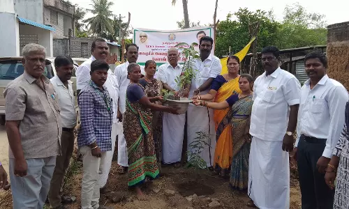 தோட்டக்கலைத்துறை சார்பில் பயனாளிகளுக்கு பழச்செடி