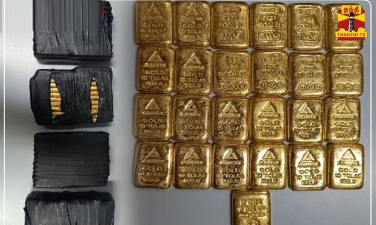 தமிழகத்துக்கு கடல் வழியாக 100 கிலோ தங்கம் கடத்தல் - மத்திய வருவாய் புலனாய்வு அதிகாரிகள் தகவல்