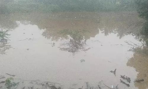 மழையால் குட்டை நிரம்பியுது