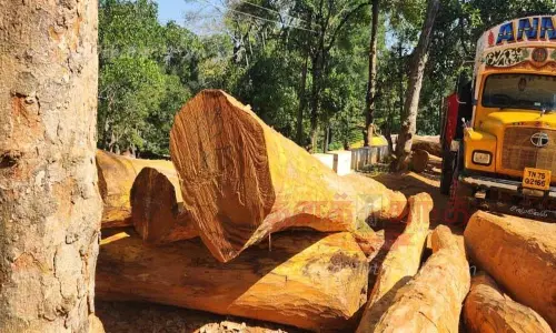 பலா மரங்களை வெட்ட வழங்கிய அனுமதி ரத்து