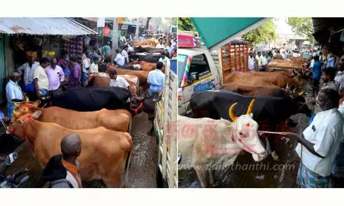 பொய்கை வாரச்சந்தையில் விற்பனைக்கு குவிந்த கறவை மாடுகள்