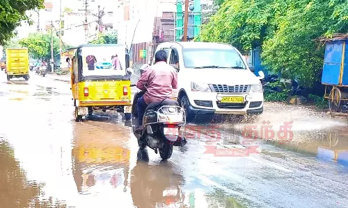 பரவலாக மழை; விவசாயிகள் மகிழ்ச்சி பரவலாக மழை; விவசாயிகள் மகிழ்ச்சி