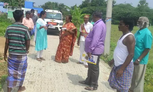 இ- பட்டாவாக மாற்றுவது குறித்து மாவட்ட வருவாய் அலுவலர் ஆய்வு