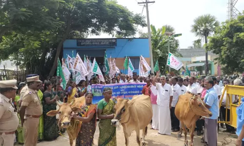 மாடுகளுடன் பால் உற்பத்தியாளர்கள் ஆர்ப்பாட்டம்