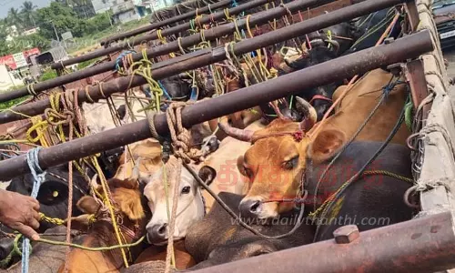 லாரியில் அதிக மாடுகளை ஏற்றி சென்றவர்கள் மீது வழக்கு