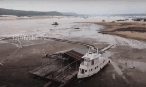 பிரேசிலில் வறட்சியால் இறந்த நூற்றுக்கணக்கான டால்பின்கள்.!